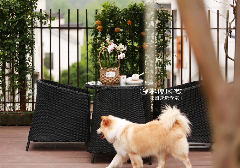 家博園藝｜民宿—燕歸靜處